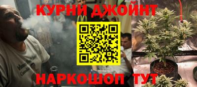 mdpv Заводоуковск