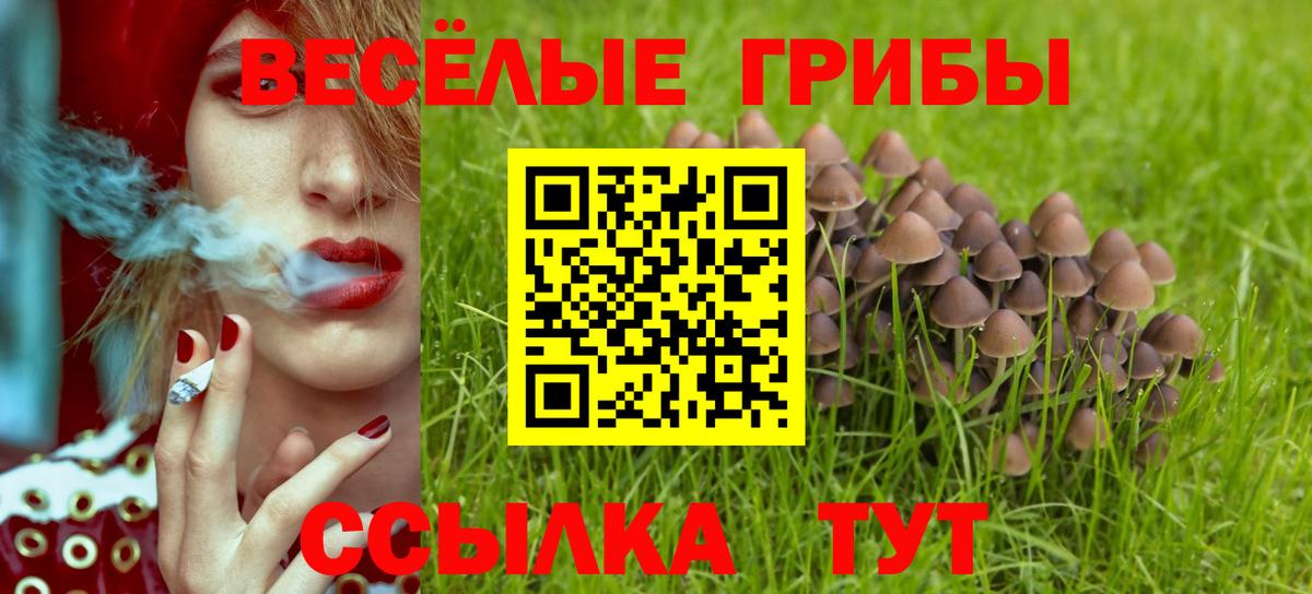 купить наркоту  Галлюциногенные грибы GOLDEN TEACHER  Псилоцибиновые грибы Cubensis  Вход с VPN  Егорьевск 